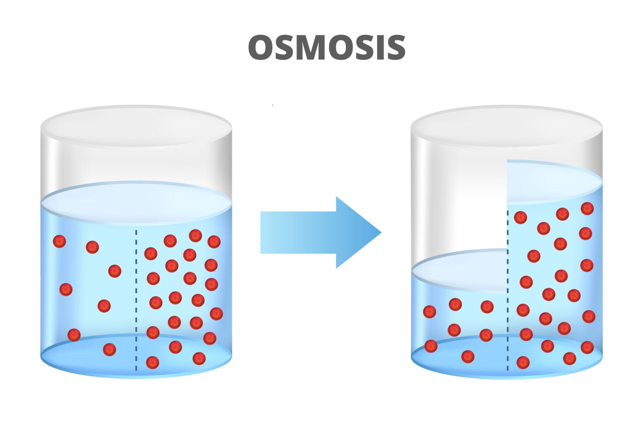 osmosis